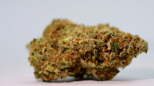 CBD Blüten Lemon Pop Indoor