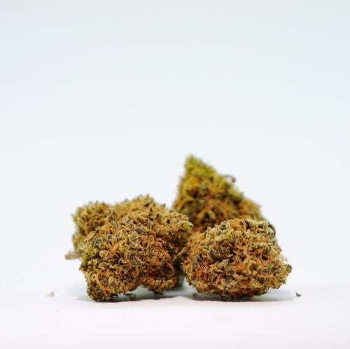 CBD Blüten Mango Haze Popcorn Indoor